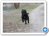 Harun zu Hause (20)
Am Baggersee ...