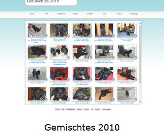 Gemischte 2010