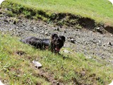 Urlaub in Allgäu (32)