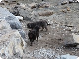 Urlaub in Allgäu (35)