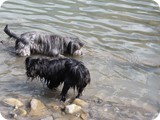Urlaub in Allgäu (36)