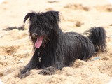 Urlaub in Frankreich (24)