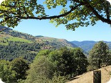 Urlaub in Frankreich (29)
... in die Vogesen nach ...