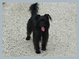 Urlaub in Frankreich (13)
