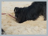 Urlaub in Frankreich (17)