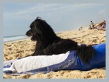 Urlaub in Frankreich (18)