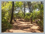 Urlaub in Frankreich (2)
Der Weg zum Strand