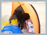 Urlaub in Frankreich (8)
Am Strand