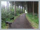 Urlaub in Schwarzwald (24)