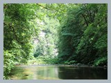 Urlaub in Schwarzwald (34)