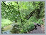 Urlaub in Schwarzwald (35)