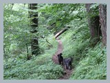 Urlaub in Schwarzwald (37)