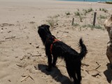 Urlaub in Frankreich (11)
Valras-Plages