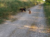 Urlaub in Frankreich (13)