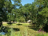 Urlaub in Frankreich (15)
Der Campingplatz bei Gigny-sur-Saône