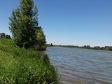 Urlaub in Frankreich (17)
... an der Saône entlang.