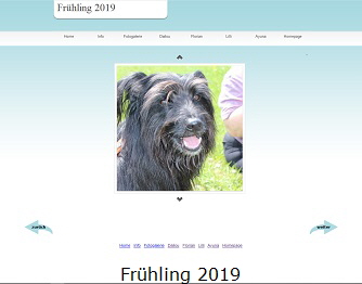 Frhling 2019