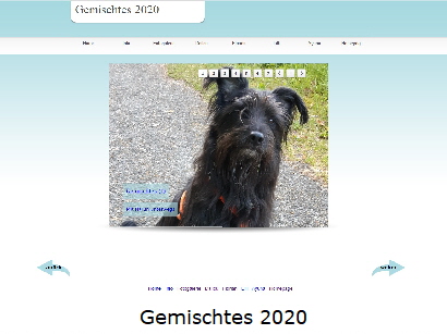 Gemischtes 2020