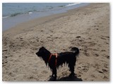Urlaub in Frankreich (41)