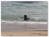 Urlaub in Frankreich (46)