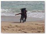 Urlaub in Frankreich (47)