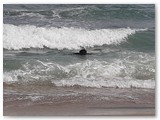 Urlaub in Frankreich (48)