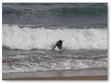 Urlaub in Frankreich (49)