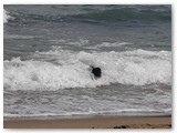 Urlaub in Frankreich (50)