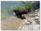 Urlaub in Frankreich (9)